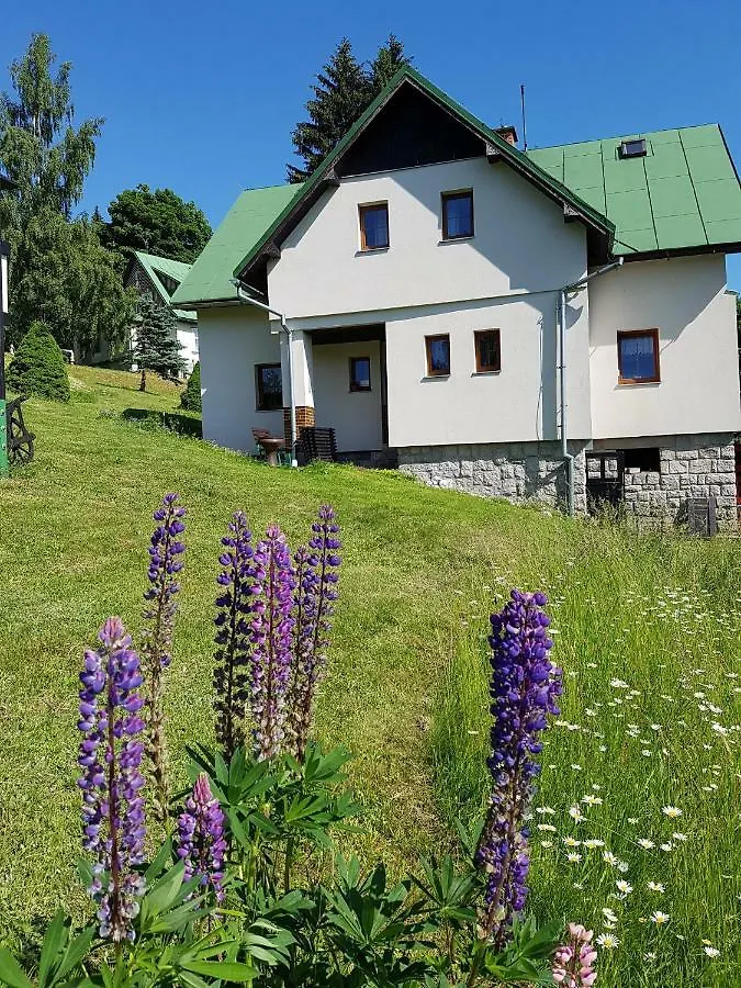 Apartament U Kobru Szpindlerowy Młyn